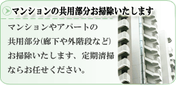 マンションの共用部分お掃除いたします。マンションやアパートの共用部分(廊下や外階段など)お掃除いたします、定期清掃ならお任せください。/清掃 定期清掃 掃除 ルームクリーニングのサプライズ