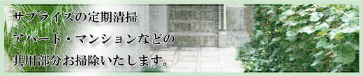 サプライズの定期性清掃、アパートマンションなどの共用部分お掃除したします。